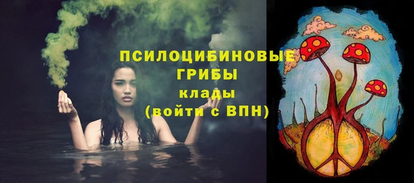 a pvp Алексин