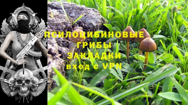 a pvp Алексин