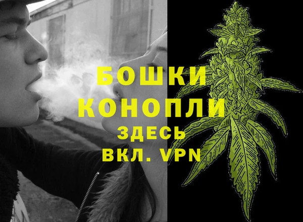 мяу мяу мука Пролетарск