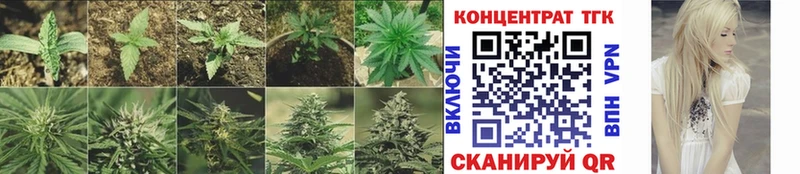 купить Бокситогорск ТГК Wax