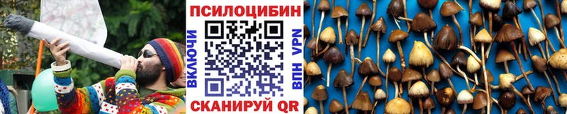 Галлюциногенные грибы Psilocybine cubensis  сколько стоит  Бокситогорск 